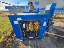 Cat C4.4L Industrial Engine